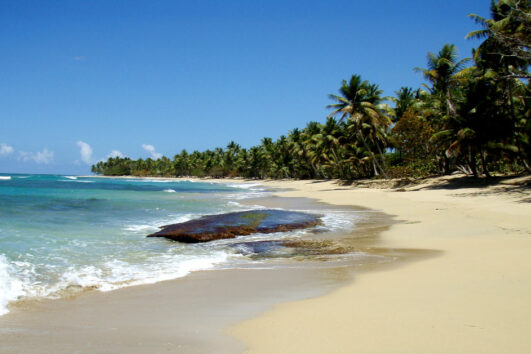 REPÚBLICA DOMINICANA EN MARZO